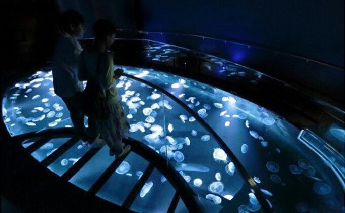 【ふるさと納税】チケット 東京 すみだ水族館 年間パスポート引換券 大人1名 子供1名 入場券 優待券 年パス 旅行 SKYTREE - 画像3