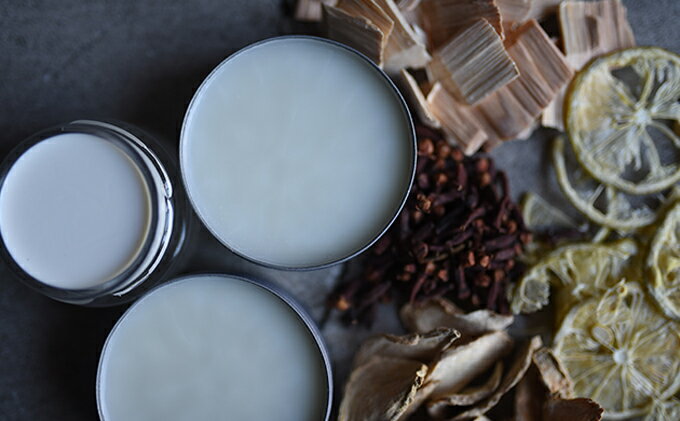 【ふるさと納税】靴磨き ライオン靴クリーム本舗 自然から作ったケアセット シューケア 手入れ セット クリーム クリーナー 革オイル 豚毛ブラシ クロス 雑貨 日用品 ライオン靴クリーム ファッション 靴 シューズ サムネイル3