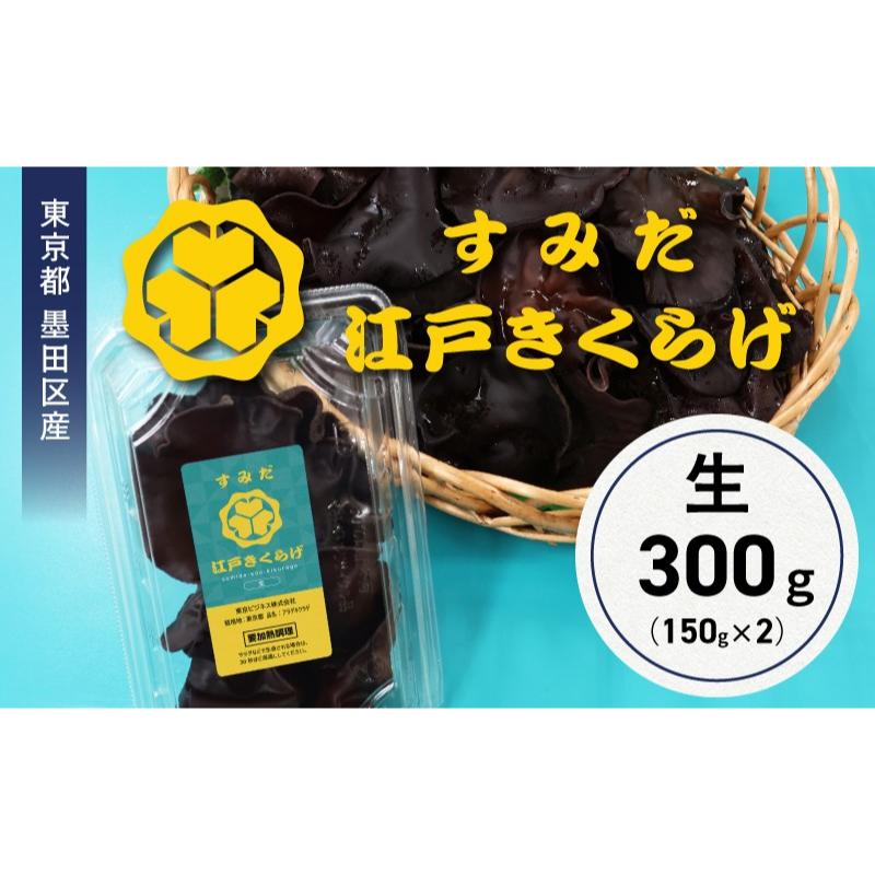 東京都墨田区産　生キクラゲ300g（150g×2パック）　食品 野菜 きのこ キノコ きくらげ キクラゲ 木耳 純国産 新鮮 プリプリ 肉厚 サラダ 和え物 炒め物 鍋