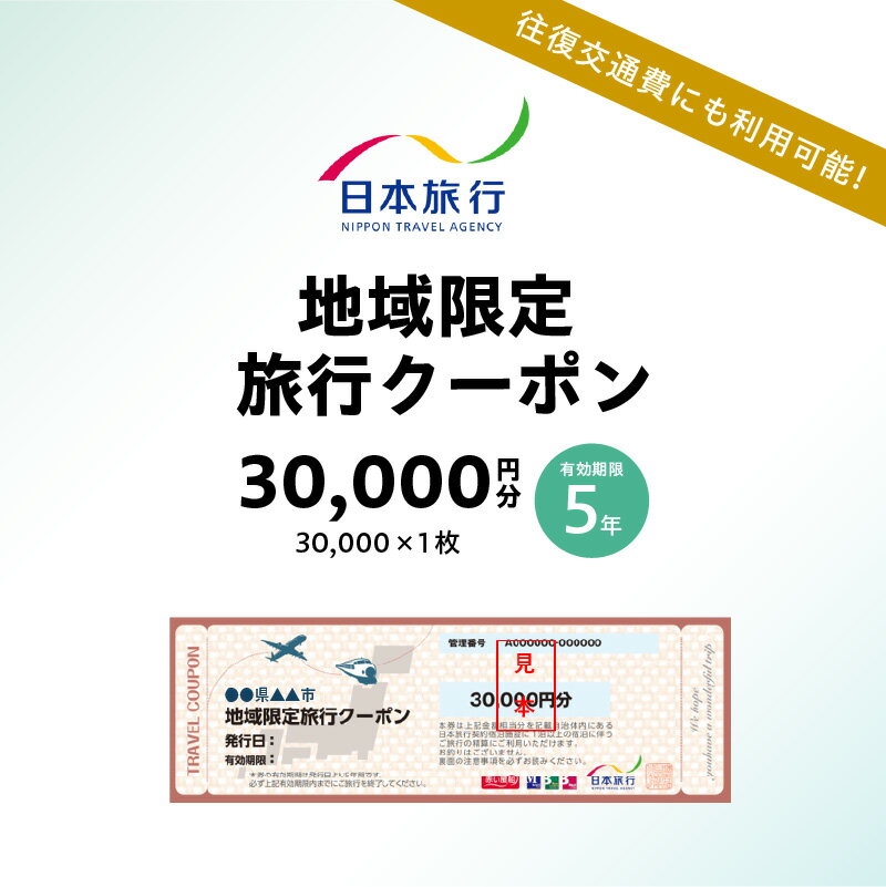 東京都江東区 日本旅行 地域限定旅行クーポン 30,000円分 チケット 旅行代金精算 宿泊 東京観光 体験 国内旅行 家族旅行 送料無料