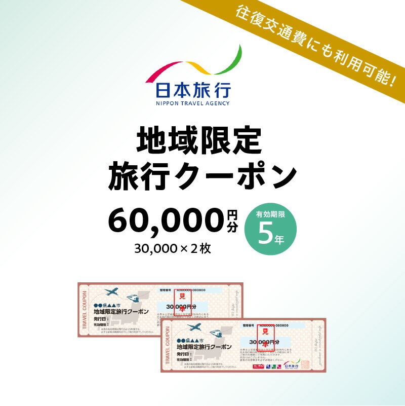 東京都江東区 日本旅行 地域限定旅行クーポン 60,000円分 チケット 旅行代金精算 宿泊 東京観光 体験 国内旅行 家族旅行 送料無料