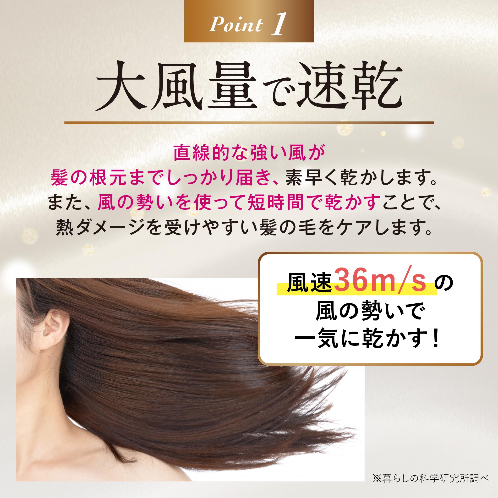 【ふるさと納税】 MEリカバリーエアー 東京都 江東区 ヘアドライヤー 美容家電 美容雑貨 速乾性 パワフル サプライズイオン ストレートヘア 送料無料 サムネイル2