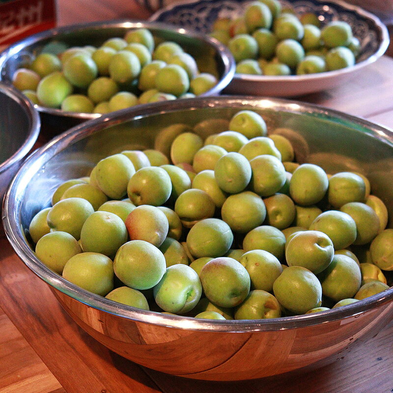 【ふるさと納税】東京「深川リキュルラボ」クラフトリキュール飲み比べセット「8th　Ocean　クミン梅酒」「8th　Ocean　茶梅酒ほうじ茶」720ml2本セット お酒 飲み比べ セット リキュール 梅酒 クミン ほうじ茶 茶葉 送料無料 サムネイル2