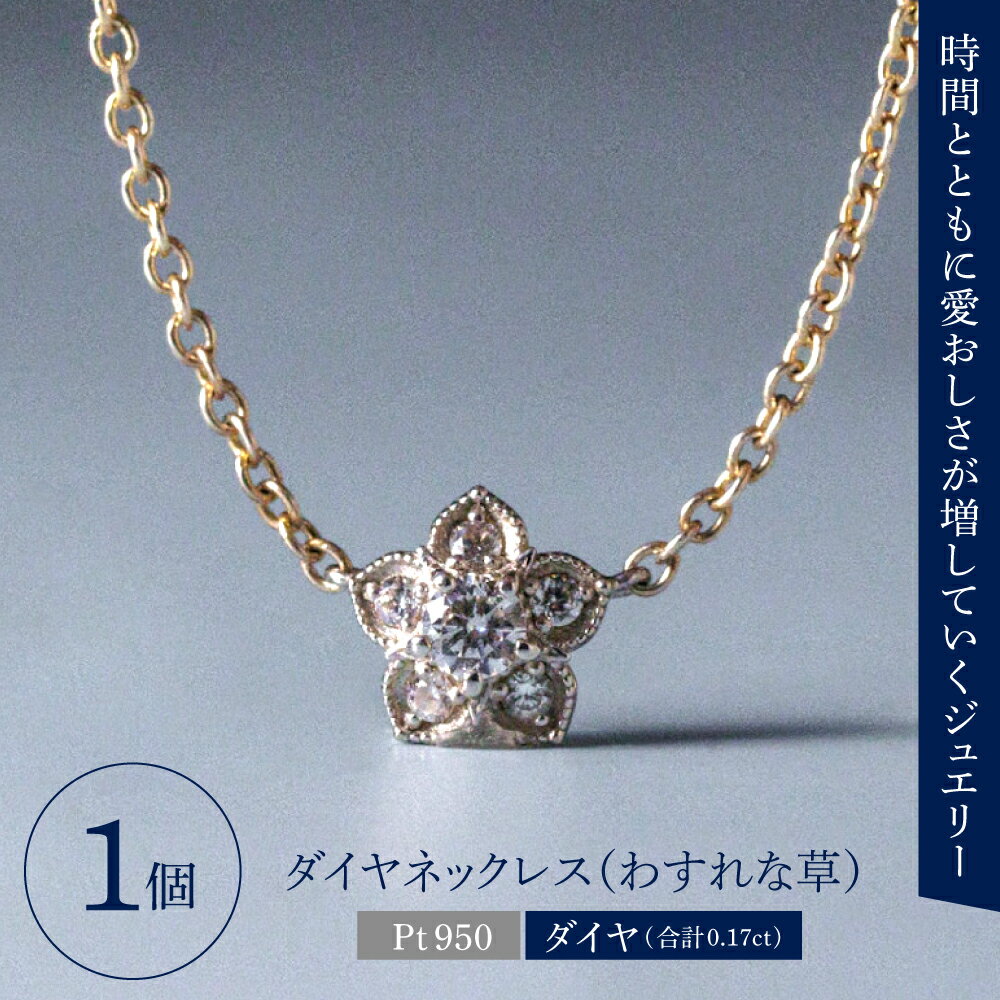 【ふるさと納税】【ANNEREGARD】Pt ダイヤネックレス（わすれな草） / ネックレス ジュエリー ブライダル ダイヤ アンリガード フォーマル 結婚式 アクセサリー ウィメンズ 東京都 品川区 サムネイル2