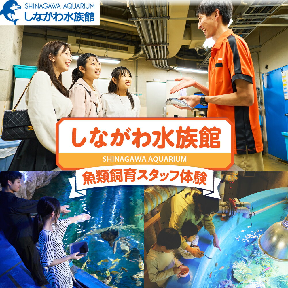 しながわ水族館 魚類飼育スタッフ体験 / 水族館 飼育スタッフ 餌作り 餌やり バックヤード見学等 館内見学 体験 チケット 東京都 品川区