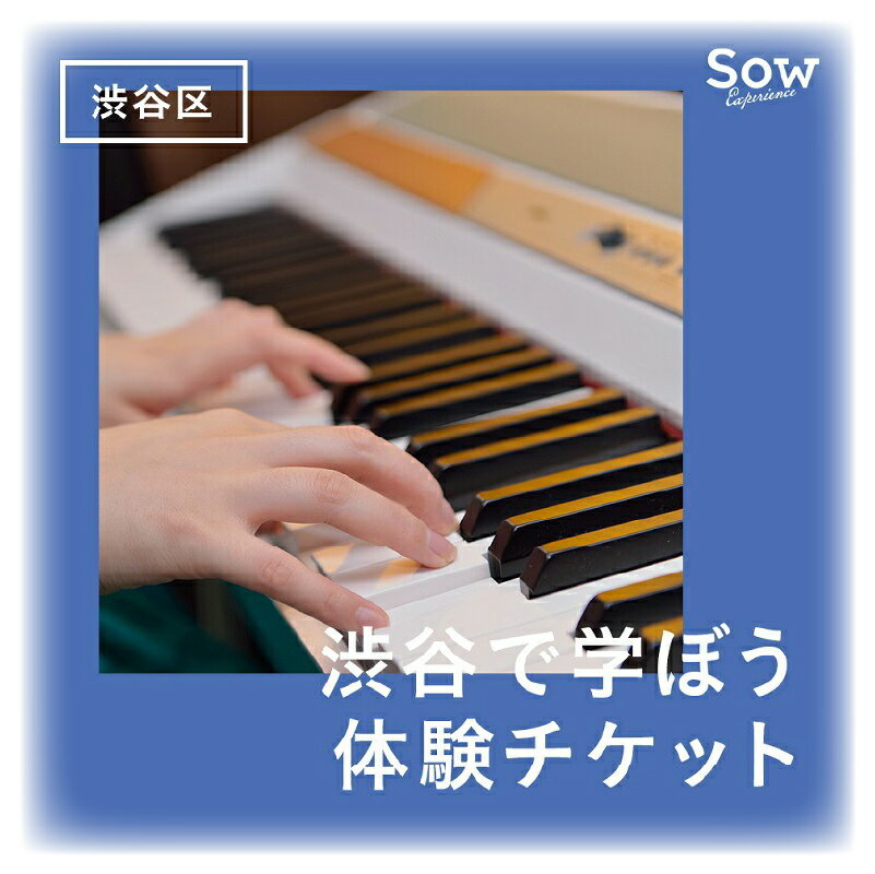 渋谷で学ぼう　体験チケット（eギフト） 東京都 渋谷区 ギターレッスン 音楽 ピアノレッスン レクチャー スマホ チケット 送料無料