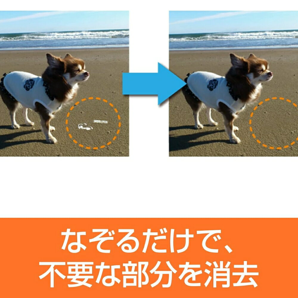 【ふるさと納税】 フォト消しゴム 6 カード版 東京都 渋谷区 フォト 写真 消しゴム AI 消去ソフト ソフト 色味 補正 人物消去 顔認識 一括モザイク 便利 機能 編集 綺麗 簡単 楽 送料無料 サムネイル2