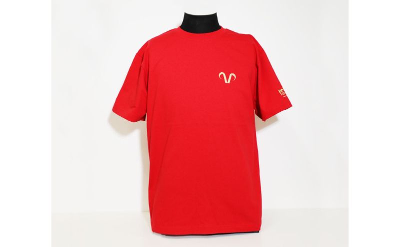 【ふるさと納税】エリース豊島 2025 ロゴプリントTシャツ・レッド Tシャツ スポーツ サッカー クラブチーム 豊島区 東京都 サムネイル2