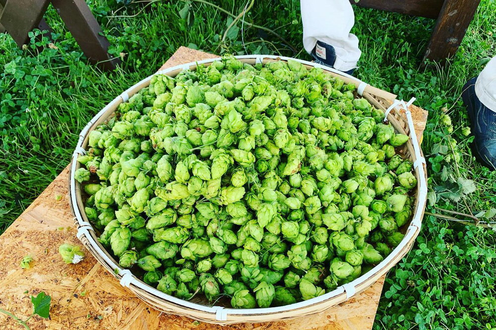 【ふるさと納税】あだちビール 6本 飲み比べセット 敬老の日 [0709] サムネイル2