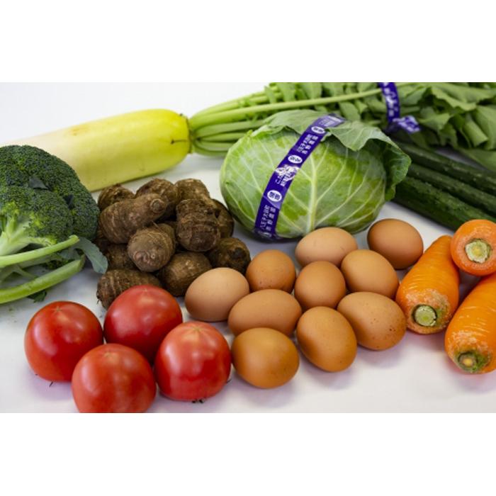 【6か月定期便】東京・八王子産　産直朝どれ新鮮野菜＆卵の詰め合わせ | 野菜 卵 たまご 新鮮 フレッシュ 産直 おいしい 送料無料 東京 八王子