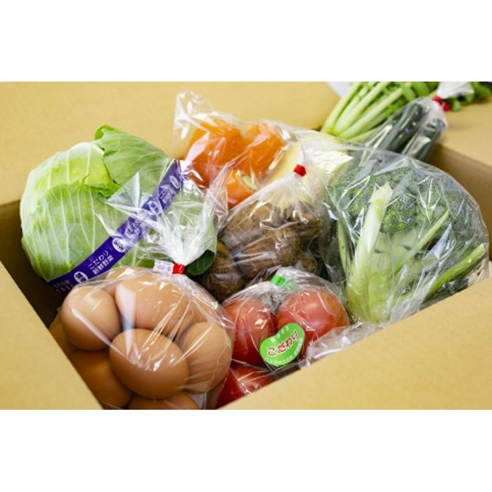 【ふるさと納税】【6か月定期便】東京・八王子産　産直朝どれ新鮮野菜＆卵の詰め合わせ | 野菜 卵 たまご 新鮮 フレッシュ 産直 おいしい 送料無料 東京 八王子 - 画像2