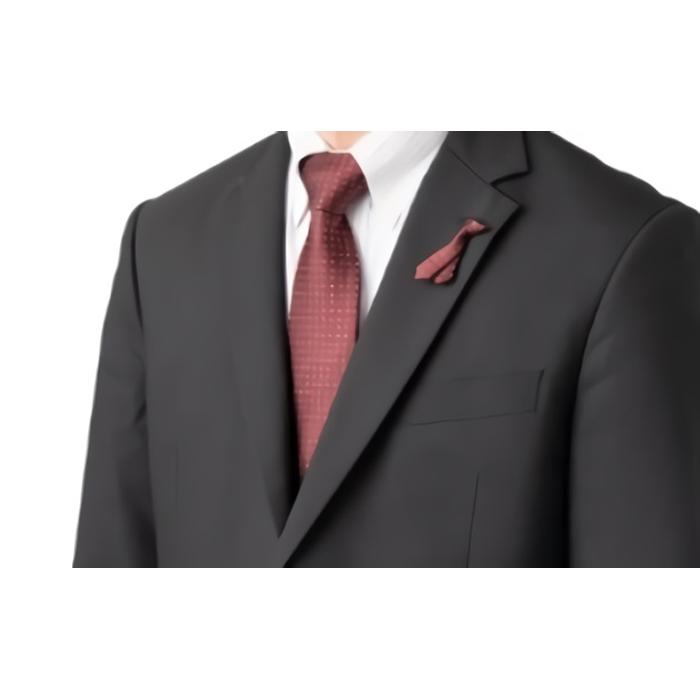 シルク100%のネクタイ＆「p-Tie」（ネクタイ型ピンバッジ）セット（レッド） | ネクタイ シルク 赤 セット ビジネス おしゃれ 送料無料 東京 八王子