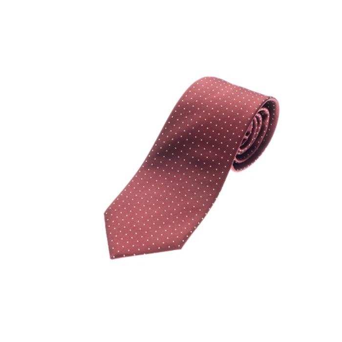 【ふるさと納税】シルク100%のネクタイ＆「p-Tie」（ネクタイ型ピンバッジ）セット（レッド） | ネクタイ シルク 赤 セット ビジネス おしゃれ 送料無料 東京 八王子 サムネイル2