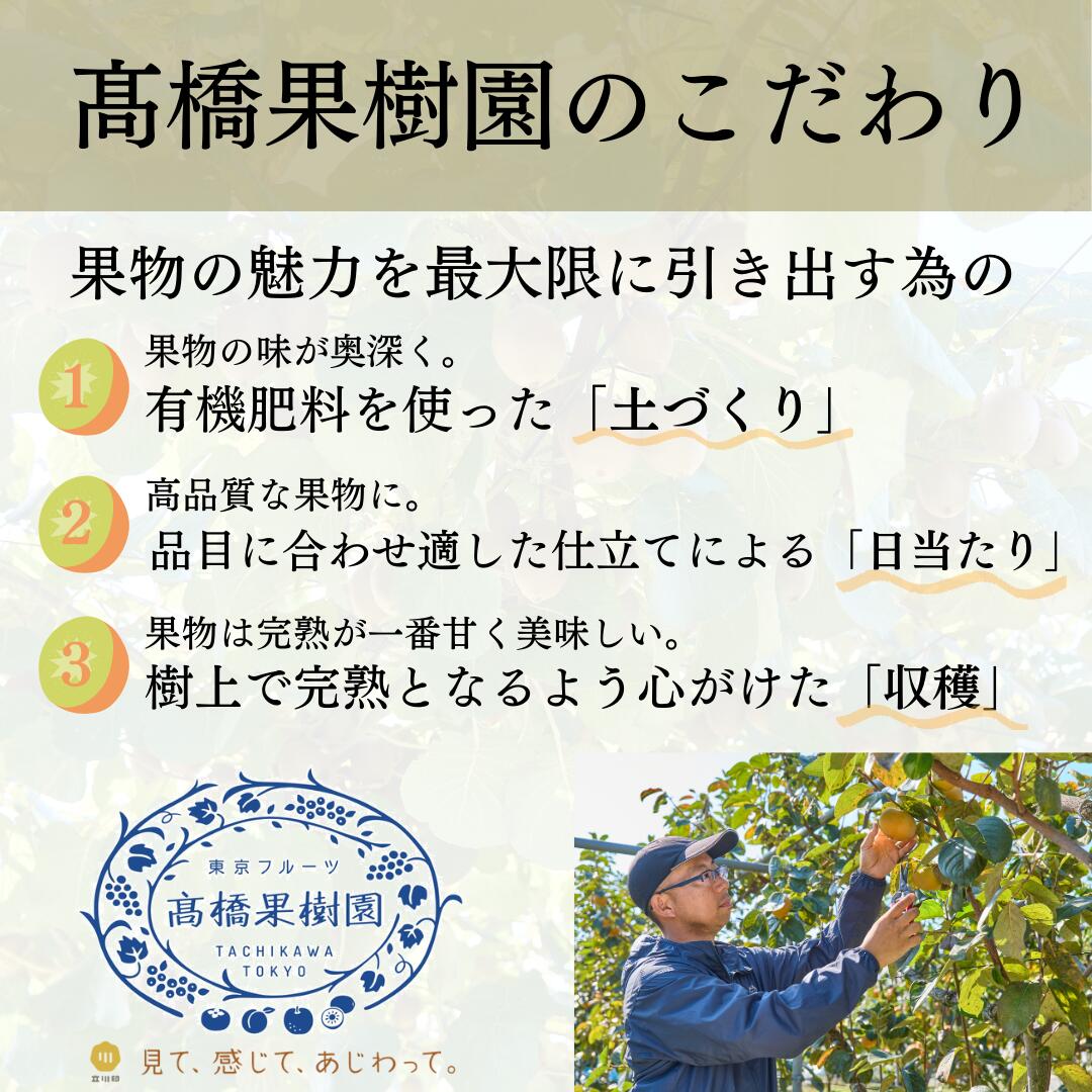 【ふるさと納税】 【2025年11月上旬より発送】ゴールドキウイ 東京ゴールド 追熟済 東京産 1.5kg 果物 フルーツ サムネイル2