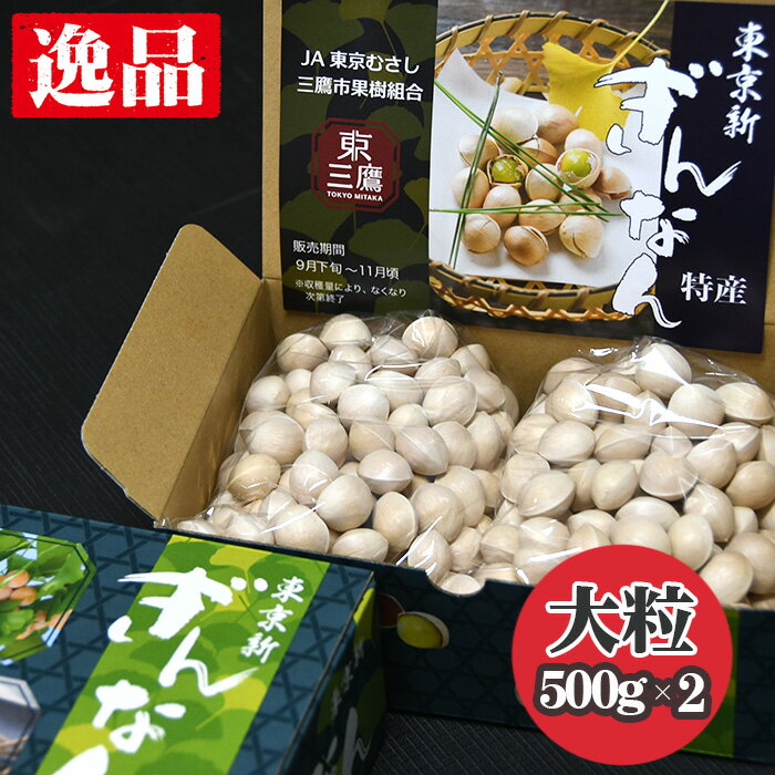 【2026年秋発送分】東京新ぎんなん（大粒） ／ ぎんなん 銀杏 大粒 旬の味覚 秋の味覚 国産 食材 季節限定 野菜 農産物 下処理簡単 茶碗蒸し 炒り銀杏 家庭用 料理素材 保存用 送料無料 東京都 [No.206]