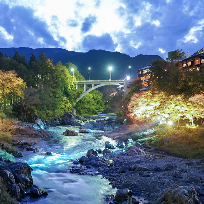 【ふるさと納税】【東京都青梅市】対象施設で使える 楽天トラベルクーポン 寄付額80,000円（24,000円クーポン）　高級宿 宿泊券 旅行 旅行券 楽天トラベル トラベル クーポン ホテル 旅館 東京 青梅 - 画像2