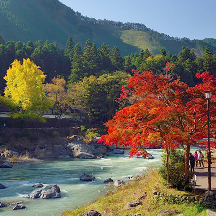 【ふるさと納税】【東京都青梅市】対象施設で使える 楽天トラベルクーポン 寄付額80,000円（24,000円クーポン）　高級宿 宿泊券 旅行 旅行券 楽天トラベル トラベル クーポン ホテル 旅館 東京 青梅 - 画像3