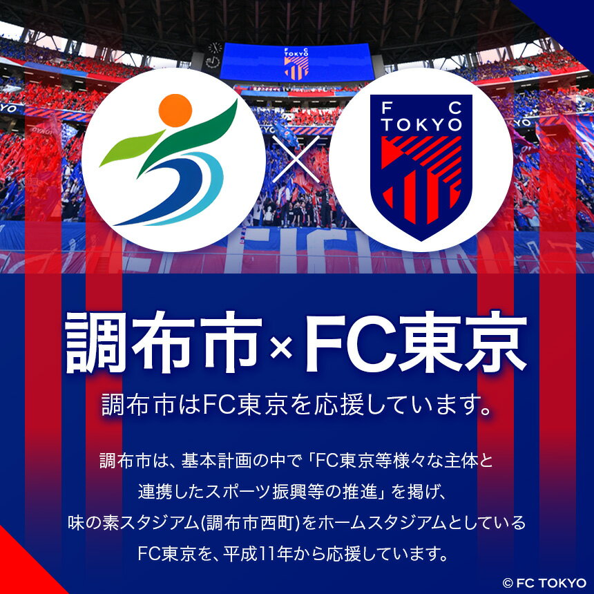 【ふるさと納税】 ビール 缶ビール アルコール FC TOKYO GOLDEN ALE 【選べる容量・回数】 6本 or 12本 or 24本 | FC東京 ゴールデンエール フルーティー トロピカル 送料無料 東京都 定期便 定期 FC東京 調布 飲料 度数 5.0% Jリーグ サッカー フットボール HBC586 ギフト サムネイル2