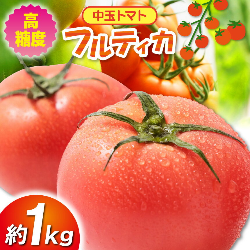 高糖度 中玉トマト 約1kg | 小林園芸 フルティカ 野菜 トマト ミニトマト とまと 調布 東京都 送料無料