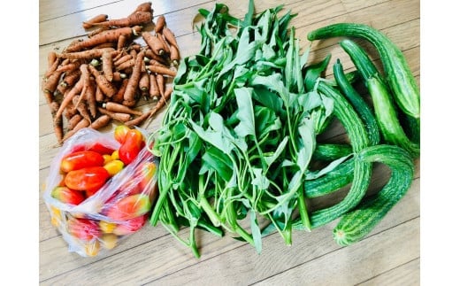 【ふるさと納税】Bamboo Village Farm　自然栽培で育てた町田野菜セット - 画像3