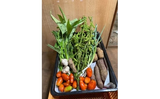 【ふるさと納税】Bamboo Village Farm　自然栽培で育てた町田野菜セット - 画像2