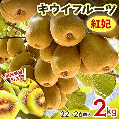 【先行予約】キウイフルーツ(紅妃) 2kg【1559805】