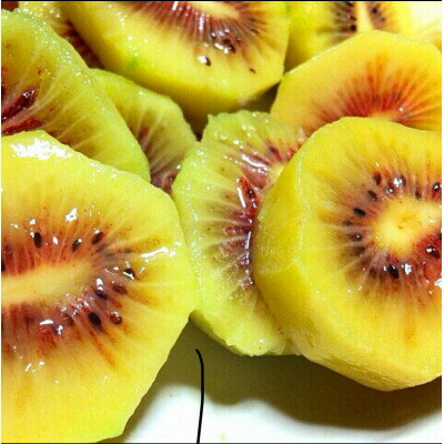 【ふるさと納税】【先行予約】キウイフルーツ(紅妃) 2kg【1559805】 サムネイル2