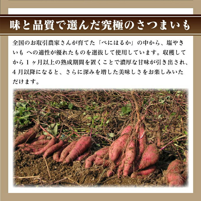 【ふるさと納税】 冷凍焼き芋　塩やきいも　★全国やきいもグランプリ受賞（750g×1袋） ／ 焼芋 当店人気No.1 桜島溶岩石 自然解凍可 絶品 濃厚 甘い 塩味 名物 成紅はるか使用 甘さ 濃厚 焼き芋 冷凍スイーツ おやつ 自宅用 送料無料 東京都 No.098 - 画像3