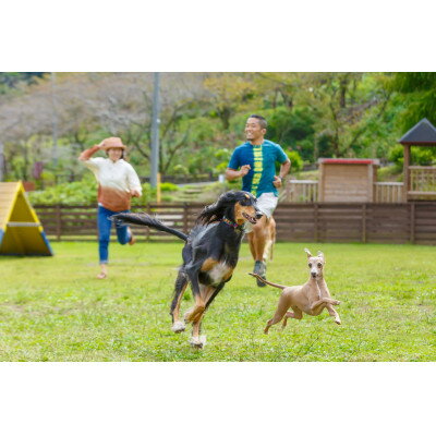 【ふるさと納税】わんダフルネイチャーヴィレッジ ドッグパークエリアご招待券 2枚【1391277】 - 画像2
