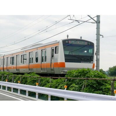 【ふるさと納税】五日市線100周年お祝いワイン　白　JR東日本商品化許諾済【配送不可地域：離島】【1633369】 サムネイル2