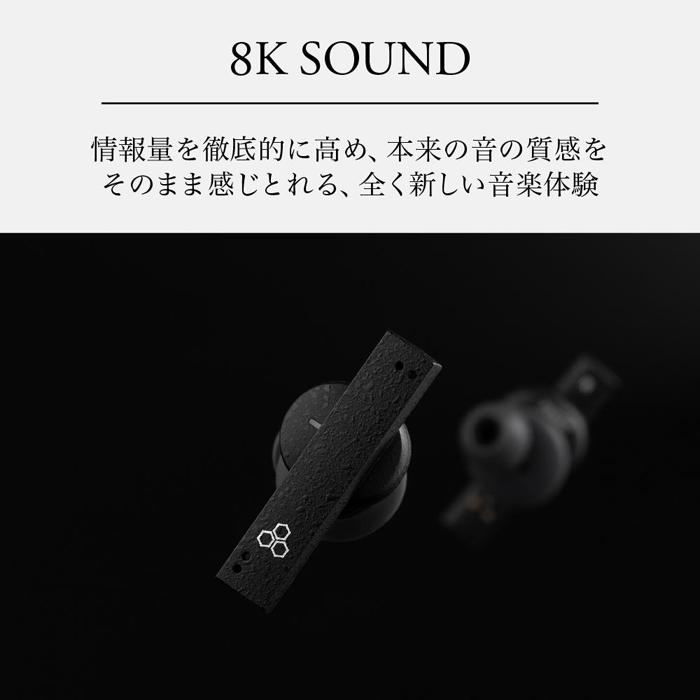【ふるさと納税】final ZE8000　完全ワイヤレスイヤホン | 人気 おすすめ 送料無料 サムネイル3