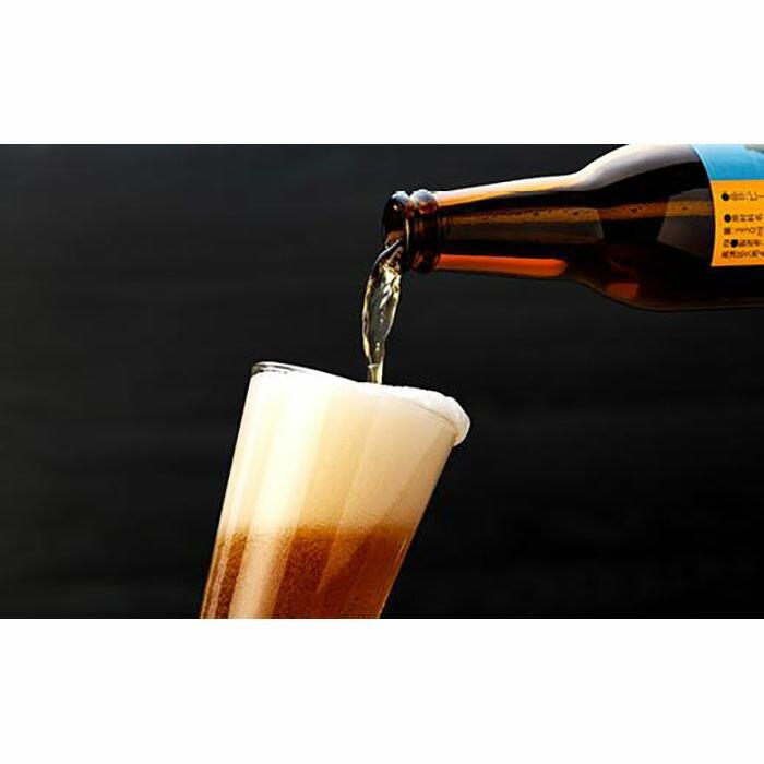 【ふるさと納税】川崎のクラフトビール　ブリマーブルーイングビール | 神奈川県 川崎市 神奈川 川崎 支援 返礼品 楽天ふるさと 納税 クラフトビール 詰め合わせ 飲み比べ セット ビール クラフト 地ビール お酒 酒 ご当地ビール ペールエール 家飲み 宅飲み 晩酌 サムネイル2