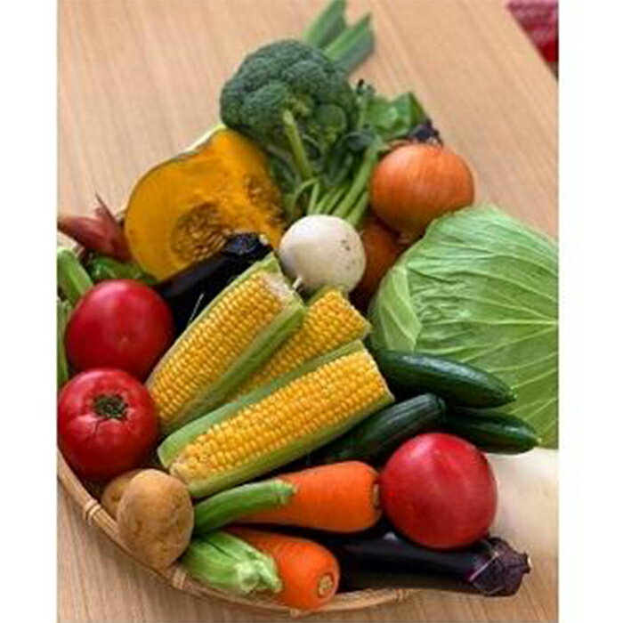 【ふるさと納税】川崎市市内産新鮮野菜・農産物詰め合わせ | 楽天ふるさと 納税 神奈川県 神奈川 川崎 川崎市 支援 お礼の品 返礼品 特産品 名産品 ご当地 名産 野菜 野菜セット 詰め合わせ やさい お取り寄せ 食べ物 食品 新鮮野菜 美味しい 健康 おうち時間 おいしい サムネイル2