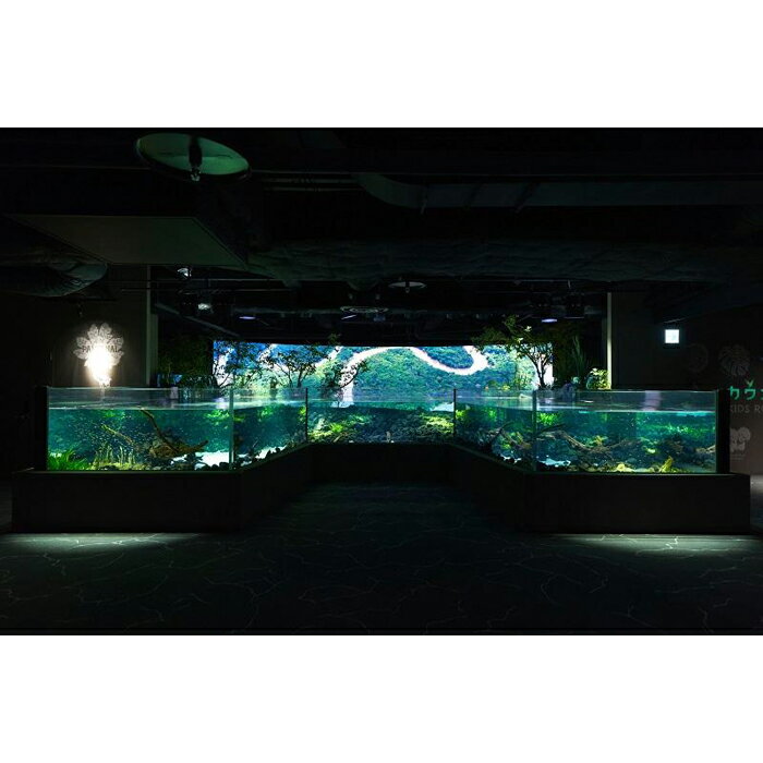 【ふるさと納税】カワスイ 川崎水族館ペアチケット　 | 楽天ふるさと 納税 神奈川県 神奈川 川崎 川崎市 支援 お礼の品 返礼品 ご当地 水族館 すいぞくかん アクティビティ 観光 チケット デート カップル 夫婦 アクアリウム さかな 魚 入場券 エンタメ 川崎水族館 2人 二人 - 画像2