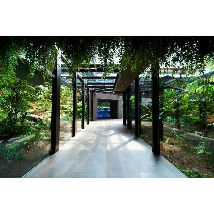 【ふるさと納税】カワスイ 川崎水族館ペアチケット　 | 楽天ふるさと 納税 神奈川県 神奈川 川崎 川崎市 支援 お礼の品 返礼品 ご当地 水族館 すいぞくかん アクティビティ 観光 チケット デート カップル 夫婦 アクアリウム さかな 魚 入場券 エンタメ 川崎水族館 2人 二人 - 画像3