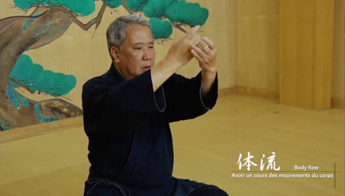 【ふるさと納税】「気体運動」DVD（登録商標） サムネイル2
