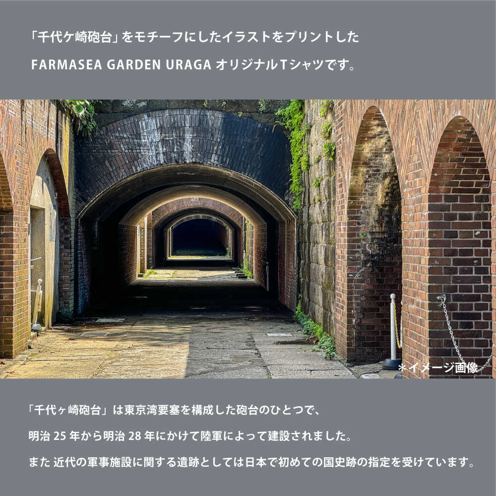 【ふるさと納税】オリジナルTシャツ CHIYOGASAKI メンズMサイズ Tシャツ ティーシャツ プリント 千代ヶ崎 千代ヶ崎砲台 砲台 オリジナル 横須賀 横須賀市【ファーマシーガーデン浦賀】[AKBG005] サムネイル2