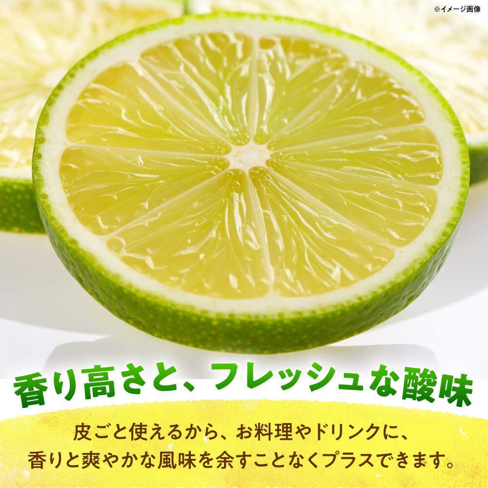 【ふるさと納税】【先行予約】【数量限定20セット】浦賀産 青レモン 5kg【ファーマシーガーデン浦賀】[AKBG006] サムネイル2
