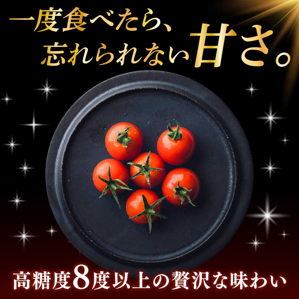 【ふるさと納税】【先行予約】V トマト 糖度8度以上 800g フルーツトマト とまと 濃厚 高糖度 高栄養 限定【株式会社ブイ・テクノロジー】神奈川 横須賀 野菜 サラダ 子ども 食卓 [AKBL004] - 画像2