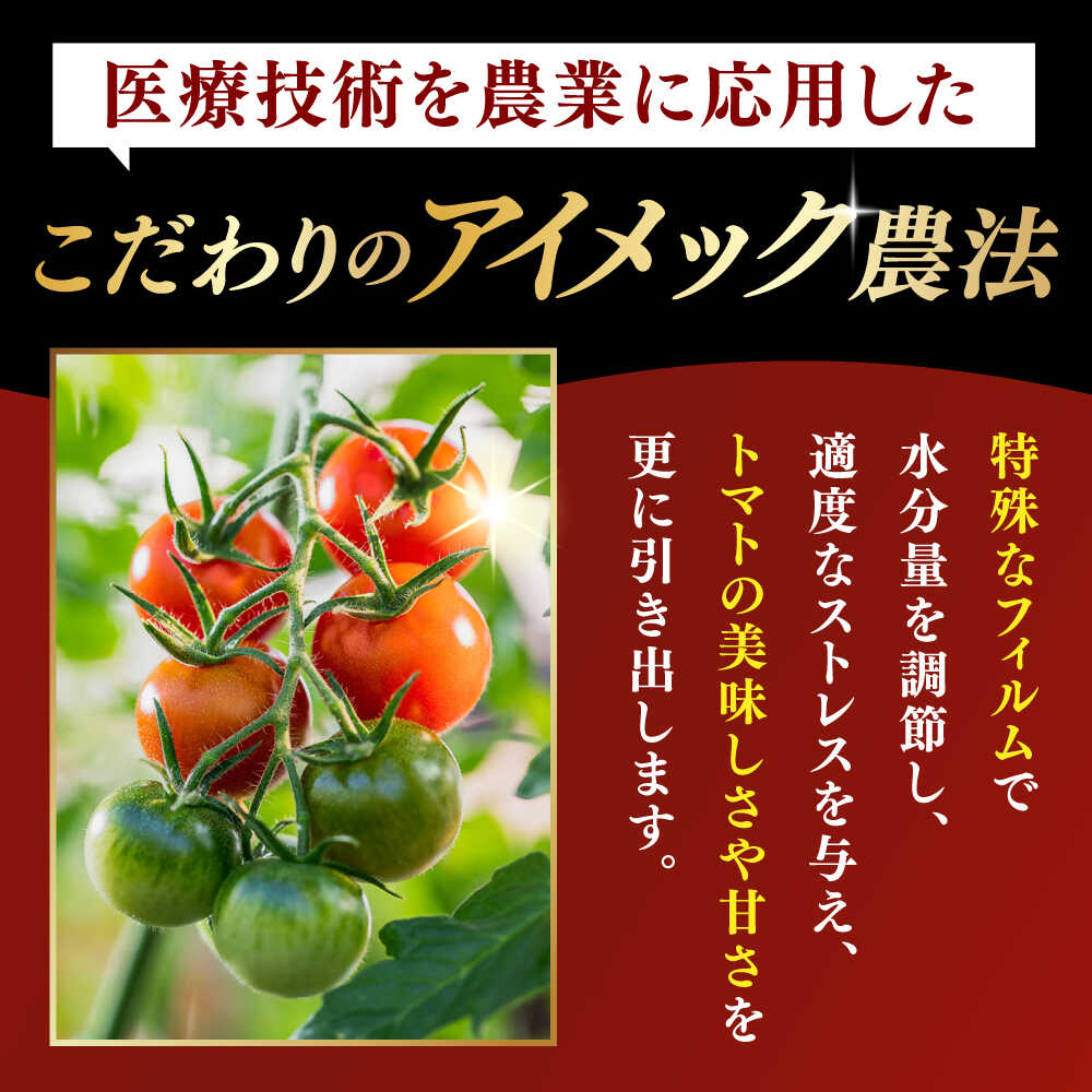 【ふるさと納税】【先行予約】V トマト 糖度8度以上 800g フルーツトマト とまと 濃厚 高糖度 高栄養 限定【株式会社ブイ・テクノロジー】神奈川 横須賀 野菜 サラダ 子ども 食卓 [AKBL004] - 画像3