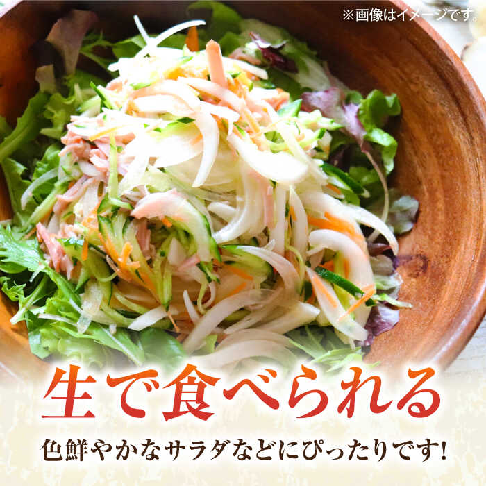 【ふるさと納税】【先行予約】新玉ねぎ 約5kg 【鈴也ファーム】[AKCE019] - 画像3