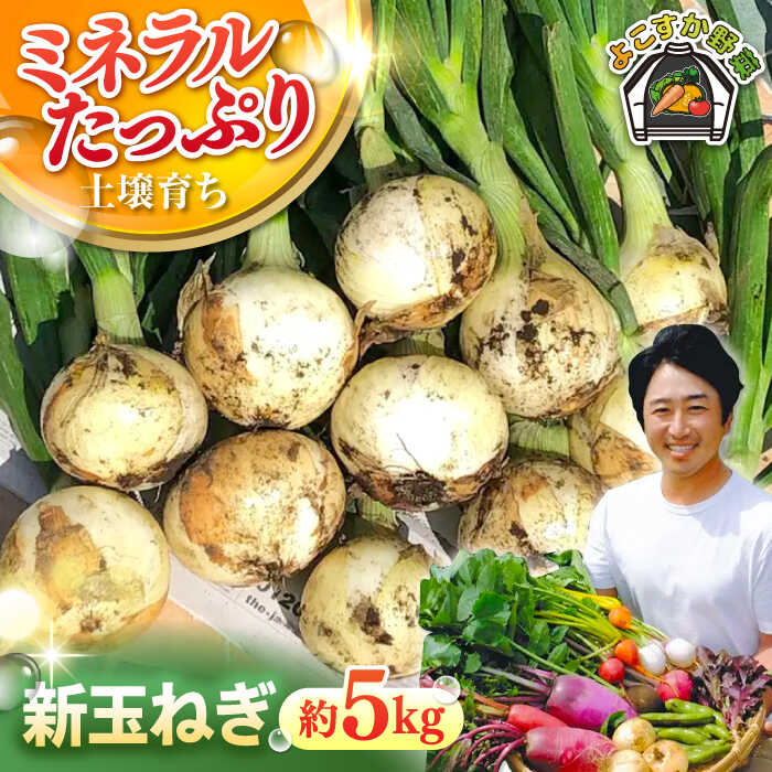 【先行予約】新玉ねぎ 約5kg 【鈴也ファーム】[AKCE019]