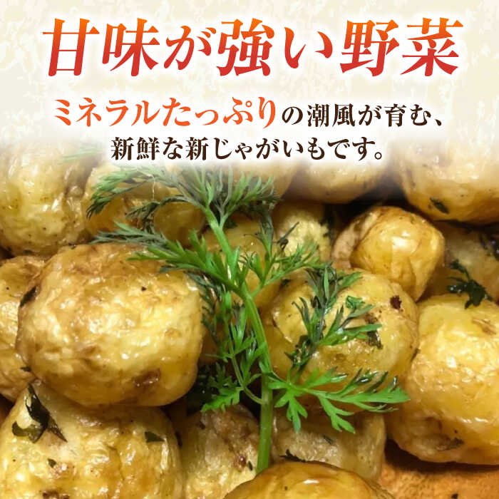 【ふるさと納税】【先行予約】新じゃが きたあかり 約5kg 【鈴也ファーム】[AKCE021] - 画像2