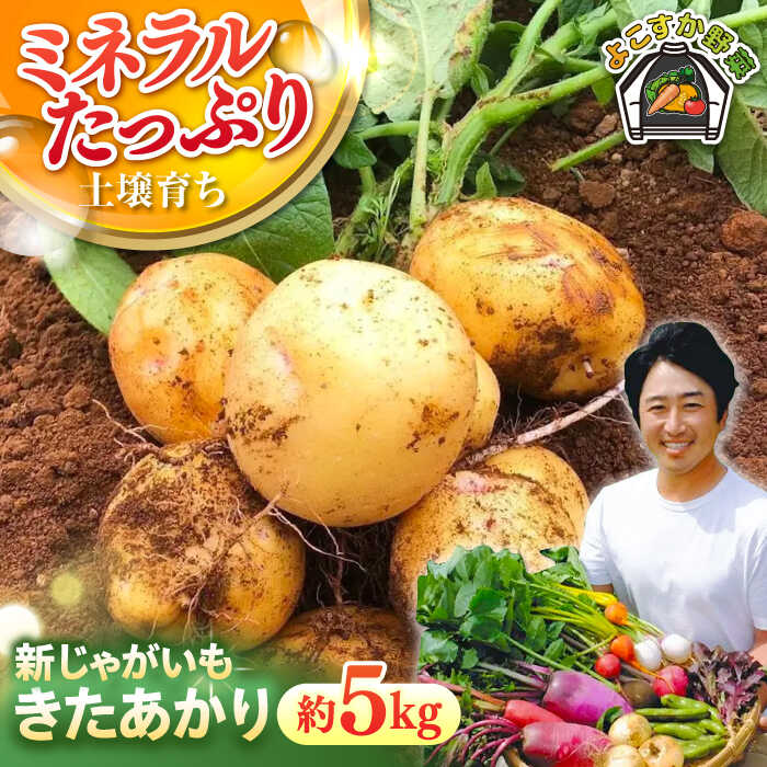 【先行予約】新じゃが きたあかり 約5kg 【鈴也ファーム】[AKCE021]