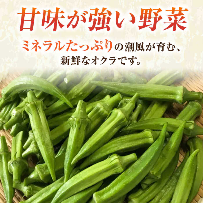 【ふるさと納税】【先行予約】オクラ 約1kg【鈴也ファーム】[AKCE023] 7000円 7千円 - 画像2