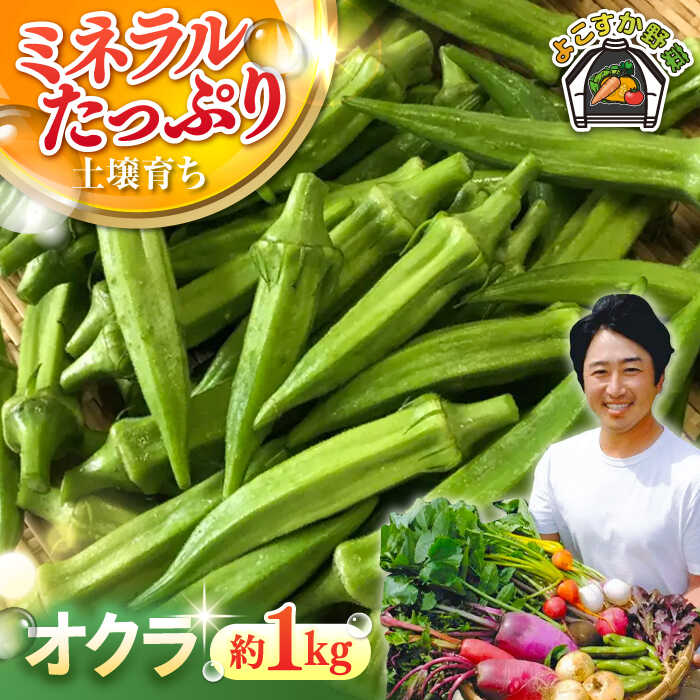 【先行予約】オクラ 約1kg【鈴也ファーム】[AKCE023] 7000円 7千円