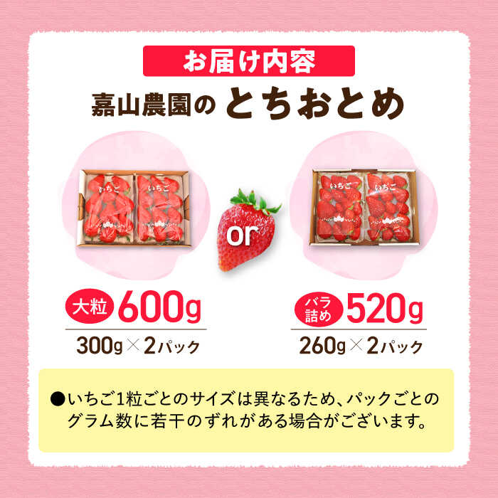 【ふるさと納税】【先行予約】【選べるパック数】【数量限定100セット】嘉山農園の完熟大粒いちご とちおとめ 300g×2パック または 嘉山農園の完熟バラ詰めいちご とちおとめ 260g×2パック イチゴ 苺 フルーツ 果物 いちご 大粒 完熟【いちごはうす嘉山農園】[AKCO001] サムネイル2