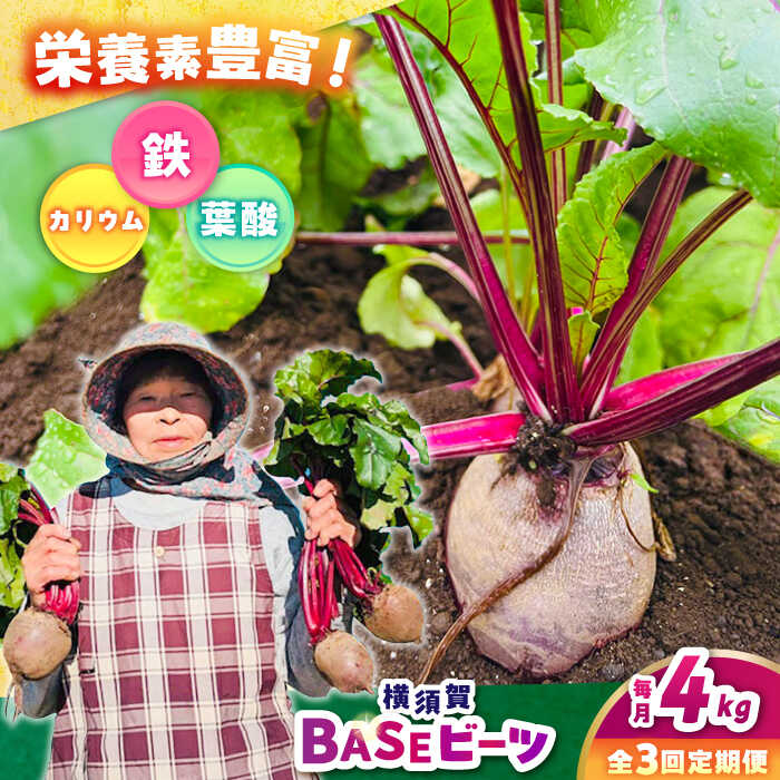 【全3回定期便】横須賀BASEビーツ 4kg（1kg×4袋）【ゆり子ファーム】ビーツ ゆり子ファーム 野菜 横須賀野菜 [AKCR004]