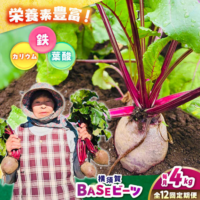 【全12回定期便】横須賀BASEビーツ 4kg（1kg×4袋）【ゆり子ファーム】ビーツ 横須賀野菜 野菜 びーつ ゆり子ファーム 農園 [AKCR006]