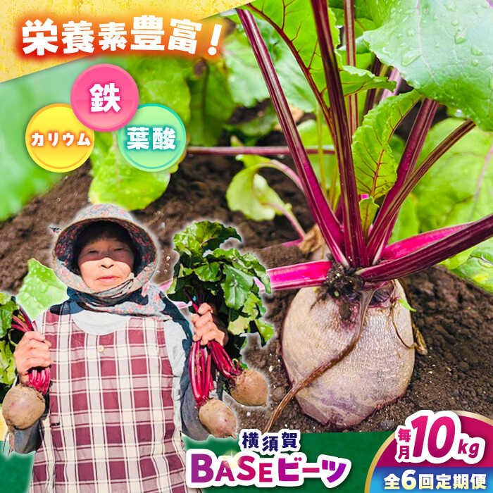 【全6回定期便】横須賀BASEビーツ 10kg（1kg×10袋）【ゆり子ファーム】ビーツ 横須賀野菜 野菜 びーつ ゆり子ファーム 農園[AKCR011]